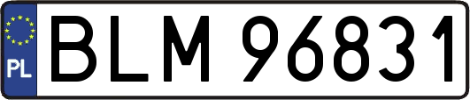 BLM96831