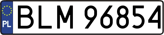 BLM96854
