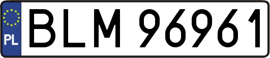 BLM96961