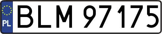BLM97175