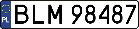 BLM98487