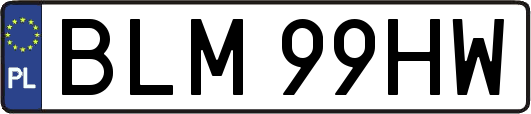 BLM99HW
