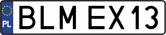 BLMEX13