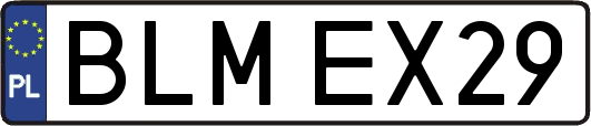 BLMEX29