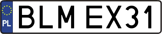 BLMEX31