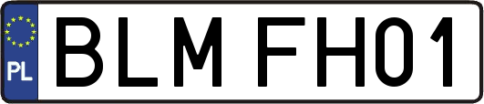 BLMFH01