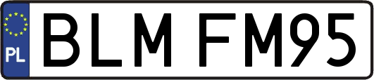 BLMFM95