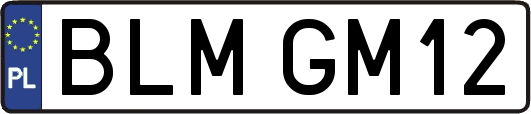 BLMGM12