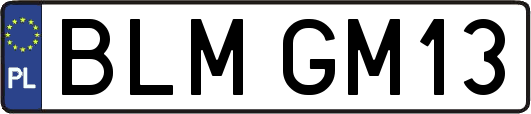 BLMGM13