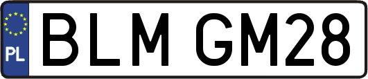 BLMGM28