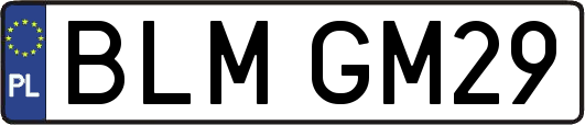 BLMGM29