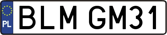 BLMGM31