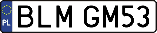 BLMGM53