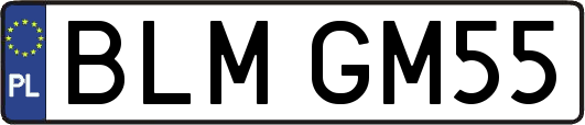 BLMGM55