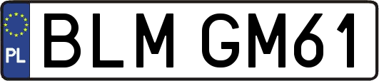 BLMGM61