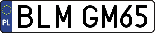 BLMGM65