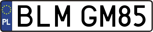 BLMGM85