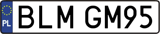 BLMGM95