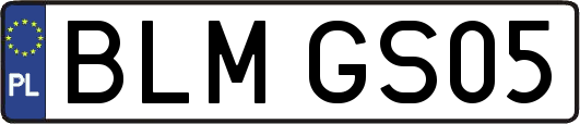 BLMGS05