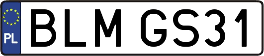 BLMGS31