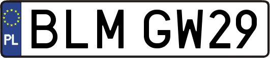 BLMGW29