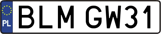 BLMGW31