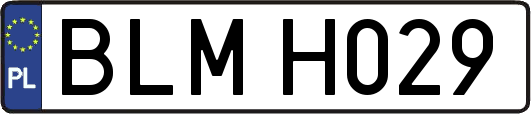 BLMH029