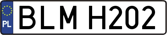 BLMH202