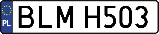 BLMH503
