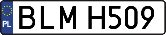BLMH509