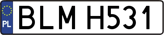 BLMH531