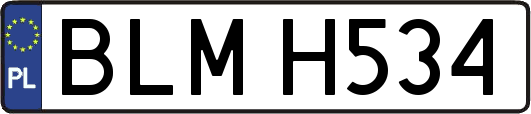 BLMH534