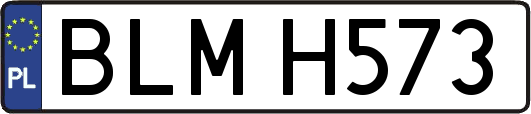 BLMH573