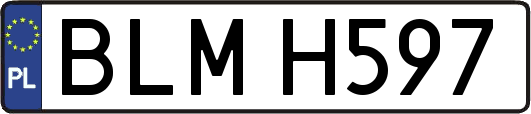 BLMH597