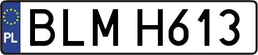 BLMH613