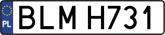 BLMH731
