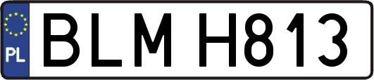 BLMH813