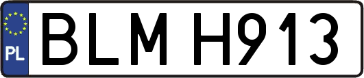 BLMH913