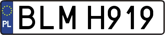 BLMH919