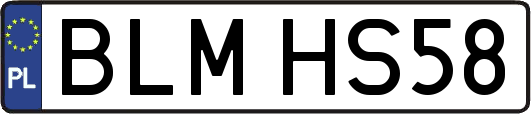 BLMHS58