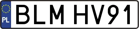BLMHV91