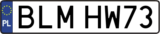 BLMHW73