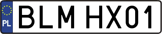 BLMHX01