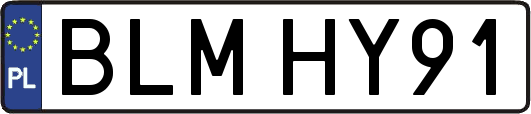 BLMHY91
