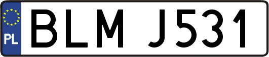 BLMJ531