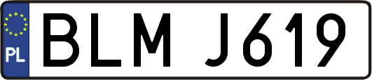 BLMJ619