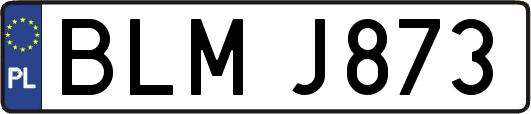 BLMJ873