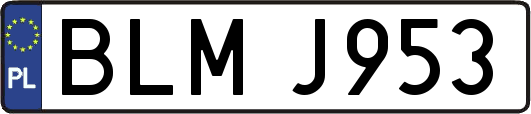 BLMJ953