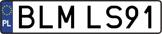 BLMLS91