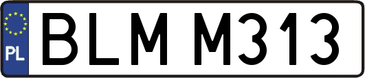 BLMM313